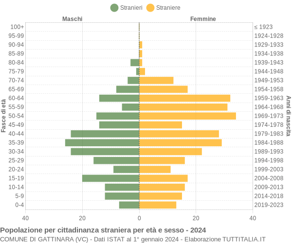 Grafico cittadini stranieri - Gattinara 2024