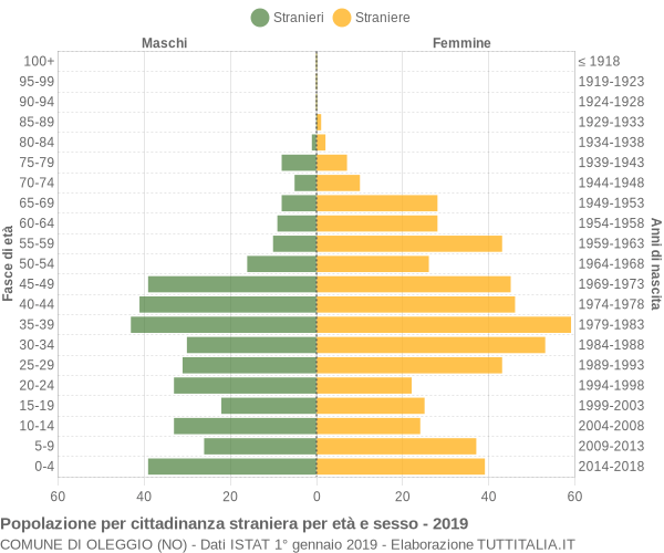 Grafico cittadini stranieri - Oleggio 2019