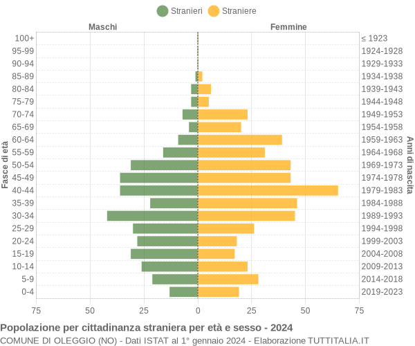 Grafico cittadini stranieri - Oleggio 2024