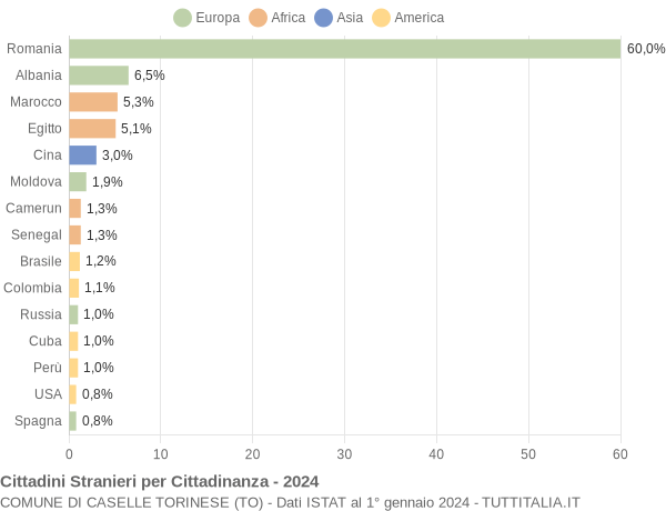 Grafico cittadinanza stranieri - Caselle Torinese 2024