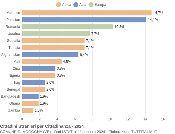 Grafico cittadinanza stranieri - Vogogna 2024