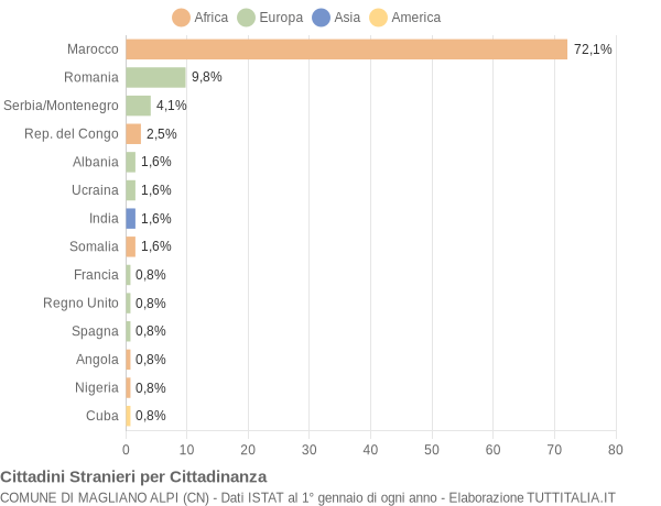 Grafico cittadinanza stranieri - Magliano Alpi 2007