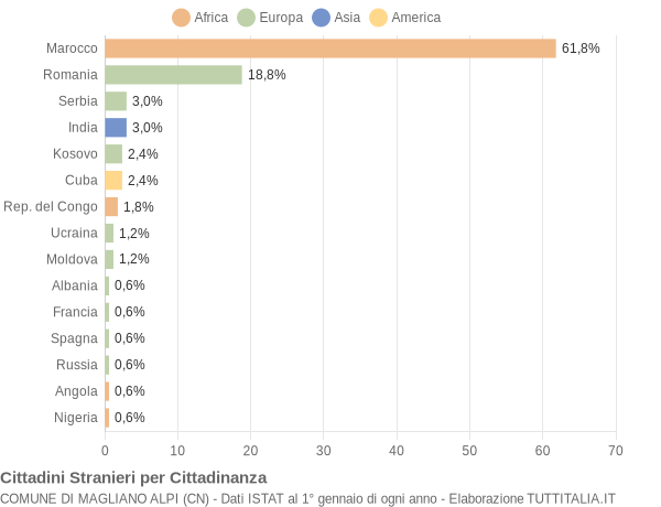 Grafico cittadinanza stranieri - Magliano Alpi 2011