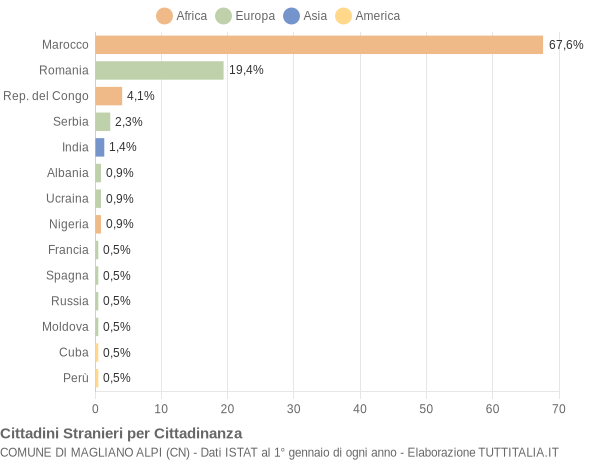 Grafico cittadinanza stranieri - Magliano Alpi 2013