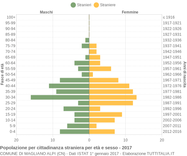 Grafico cittadini stranieri - Magliano Alpi 2017