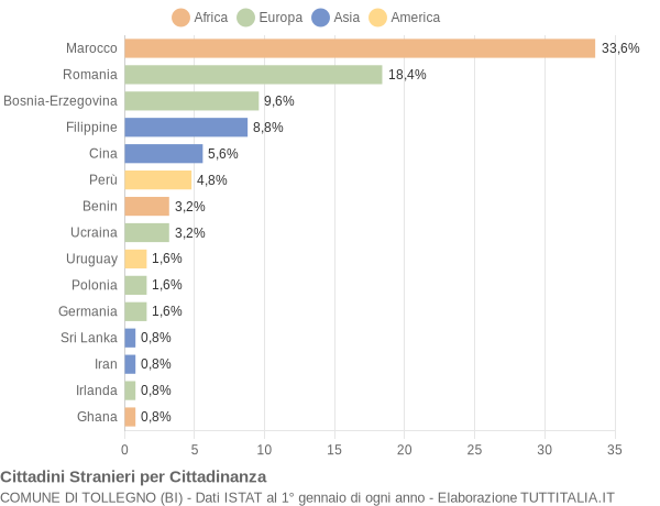 Grafico cittadinanza stranieri - Tollegno 2011