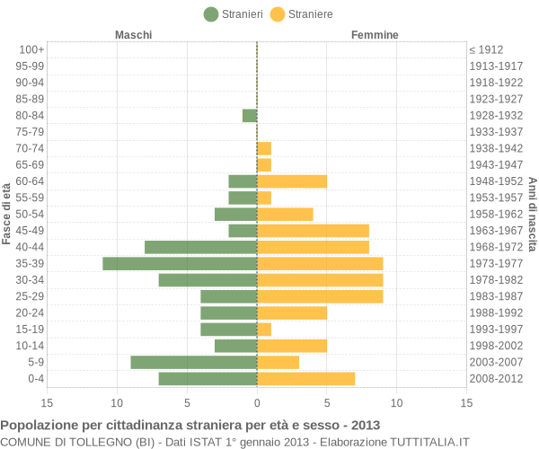 Grafico cittadini stranieri - Tollegno 2013