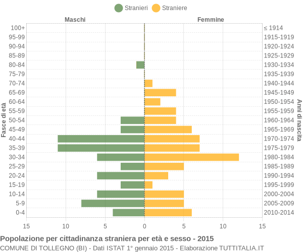 Grafico cittadini stranieri - Tollegno 2015