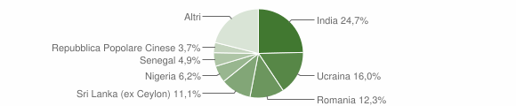 Grafico cittadinanza stranieri - Briona 2009