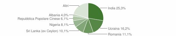 Grafico cittadinanza stranieri - Briona 2010