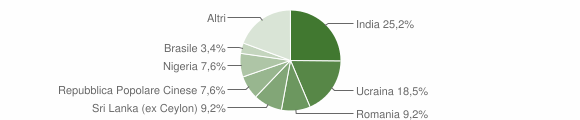 Grafico cittadinanza stranieri - Briona 2011