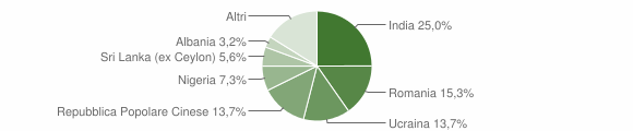 Grafico cittadinanza stranieri - Briona 2012