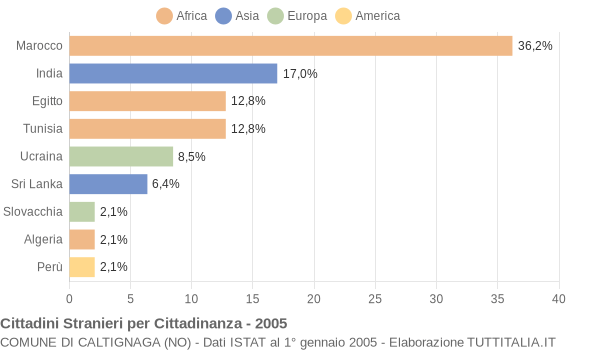 Grafico cittadinanza stranieri - Caltignaga 2005