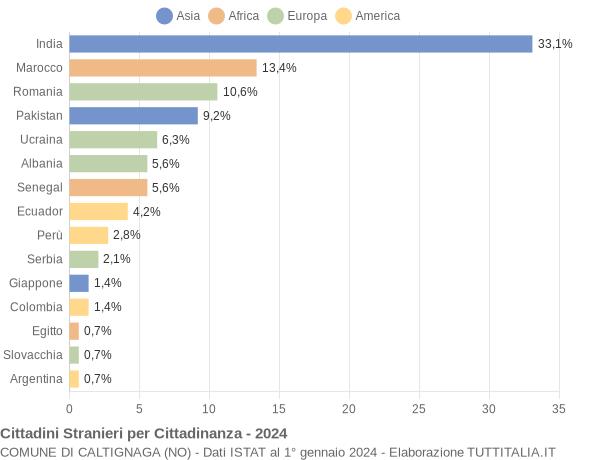 Grafico cittadinanza stranieri - Caltignaga 2024