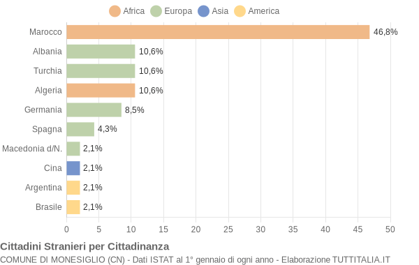 Grafico cittadinanza stranieri - Monesiglio 2007