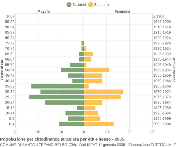 Grafico cittadini stranieri - Santo Stefano Belbo 2005