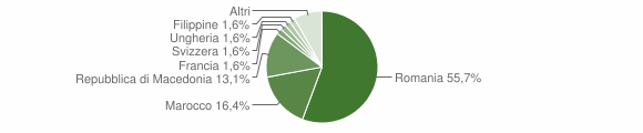 Grafico cittadinanza stranieri - Roddi 2009