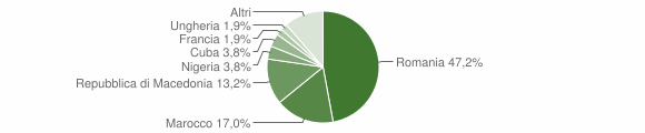 Grafico cittadinanza stranieri - Roddi 2010
