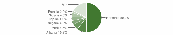 Grafico cittadinanza stranieri - Roddi 2015
