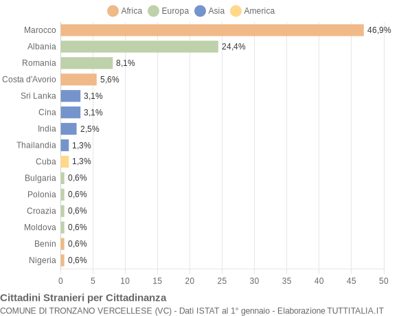 Grafico cittadinanza stranieri - Tronzano Vercellese 2006