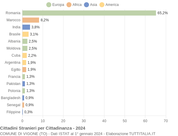 Grafico cittadinanza stranieri - Vigone 2024