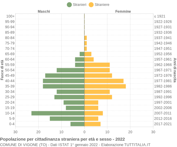 Grafico cittadini stranieri - Vigone 2022