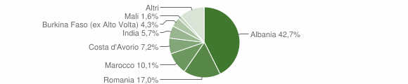 Grafico cittadinanza stranieri - Busca 2011