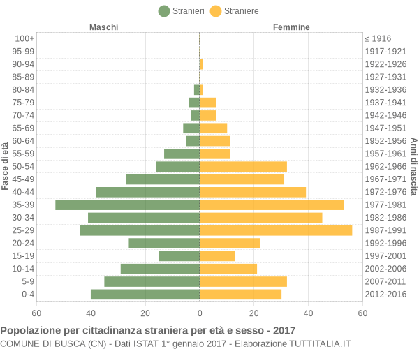 Grafico cittadini stranieri - Busca 2017