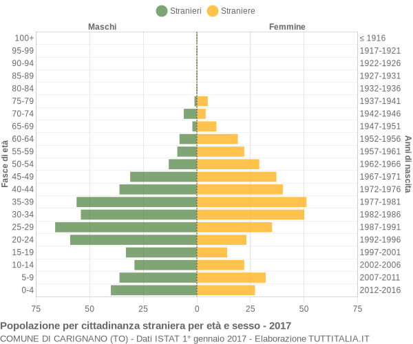 Grafico cittadini stranieri - Carignano 2017