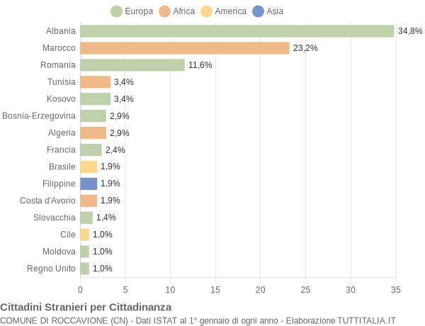 Grafico cittadinanza stranieri - Roccavione 2010