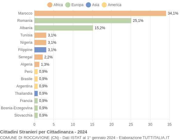 Grafico cittadinanza stranieri - Roccavione 2024