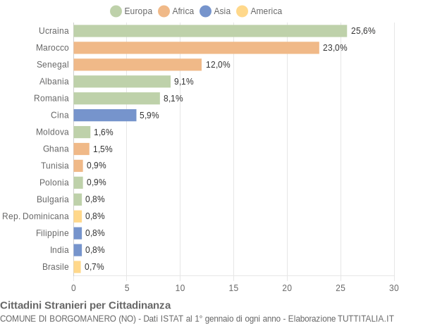 Grafico cittadinanza stranieri - Borgomanero 2017