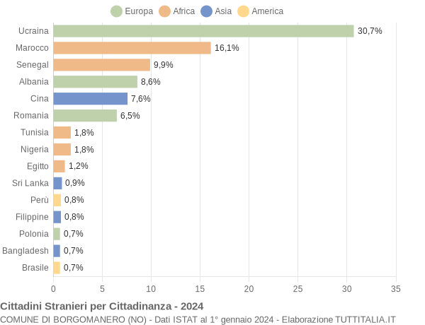 Grafico cittadinanza stranieri - Borgomanero 2024