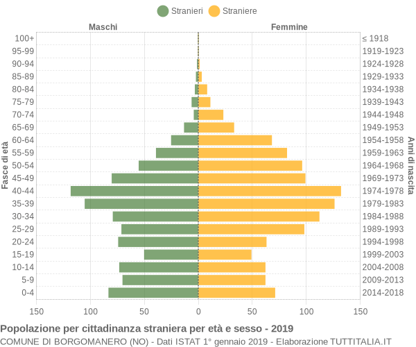 Grafico cittadini stranieri - Borgomanero 2019