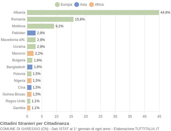 Grafico cittadinanza stranieri - Garessio 2018