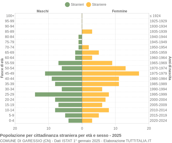 Grafico cittadini stranieri - Garessio 2025