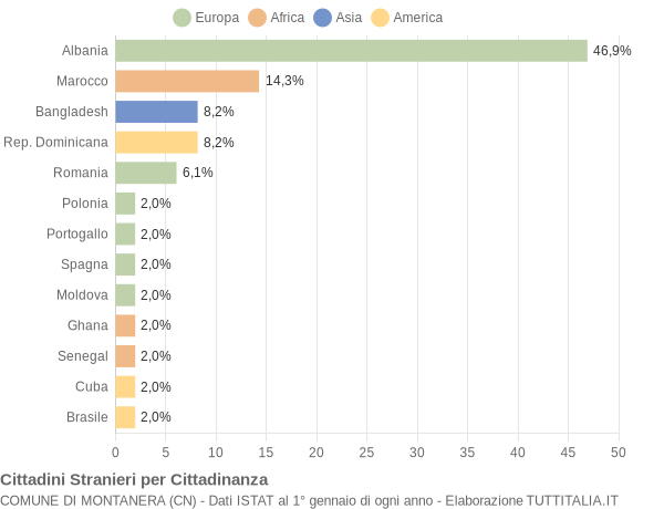 Grafico cittadinanza stranieri - Montanera 2004