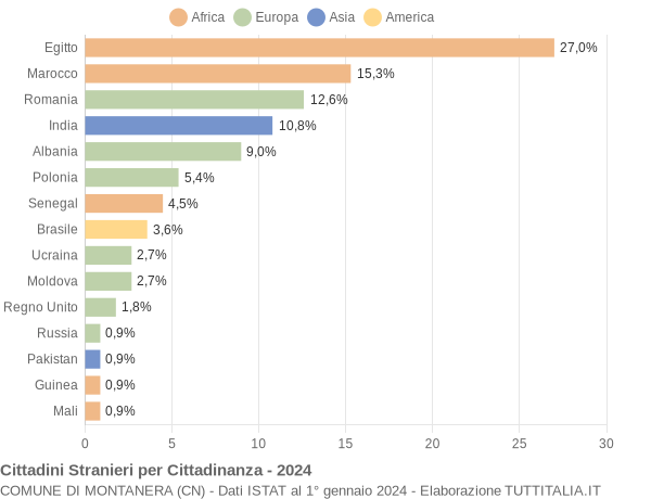 Grafico cittadinanza stranieri - Montanera 2024