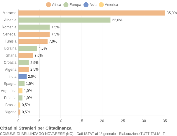 Grafico cittadinanza stranieri - Bellinzago Novarese 2004