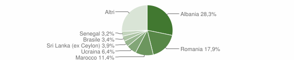 Grafico cittadinanza stranieri - Bellinzago Novarese 2013