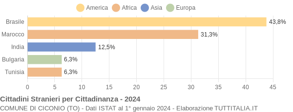 Grafico cittadinanza stranieri - Ciconio 2024