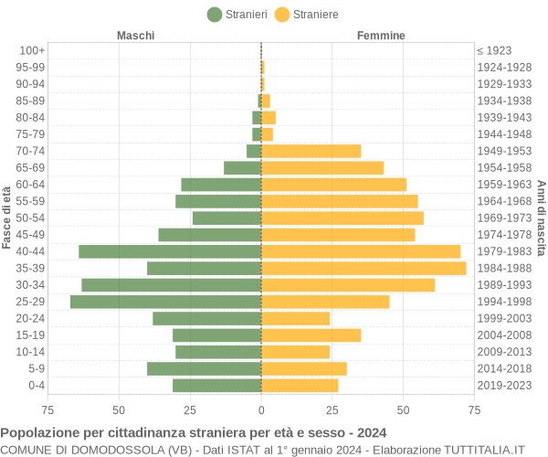 Grafico cittadini stranieri - Domodossola 2024