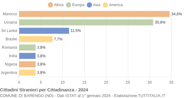 Grafico cittadinanza stranieri - Barengo 2024