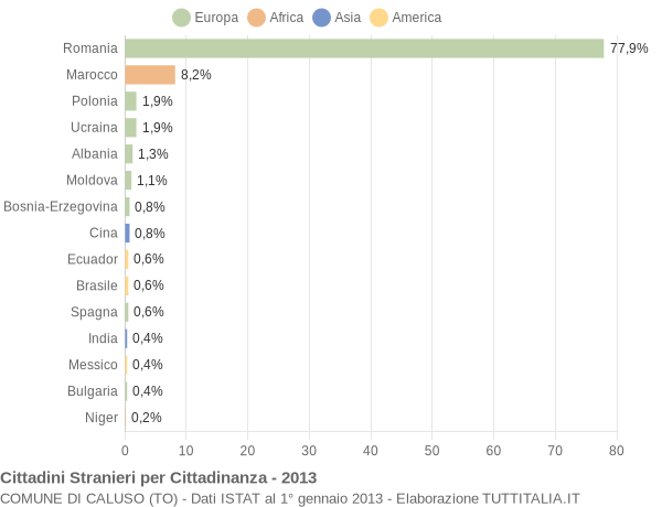 Grafico cittadinanza stranieri - Caluso 2013