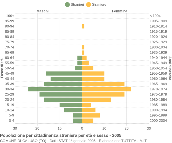 Grafico cittadini stranieri - Caluso 2005