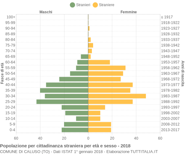 Grafico cittadini stranieri - Caluso 2018