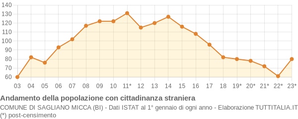 Andamento popolazione stranieri Comune di Sagliano Micca (BI)