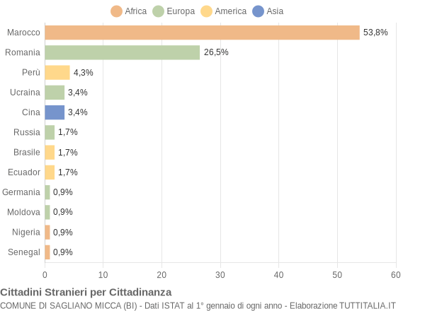 Grafico cittadinanza stranieri - Sagliano Micca 2008