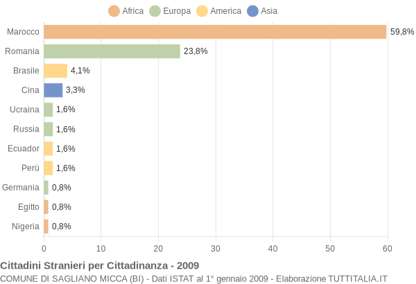 Grafico cittadinanza stranieri - Sagliano Micca 2009
