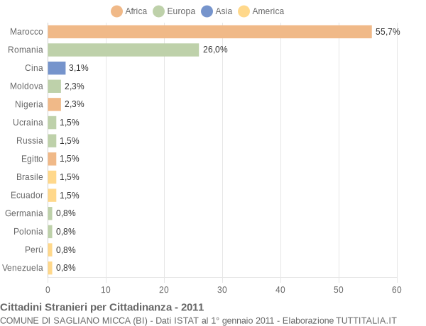 Grafico cittadinanza stranieri - Sagliano Micca 2011